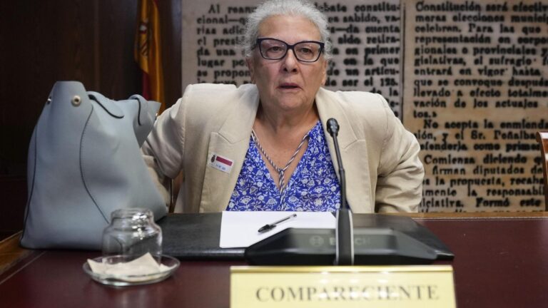 La trama de Leire Díez y Cerdán ofreció 50.000 euros a Carmen Pano para que no ratificase que entregó dinero al PSOE
