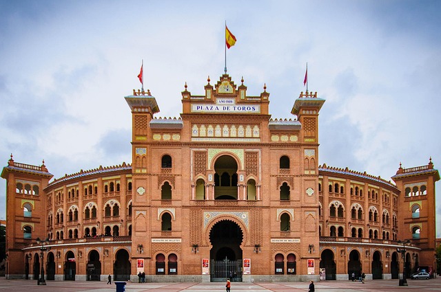 bogitw-madrid-726957_640 (1)