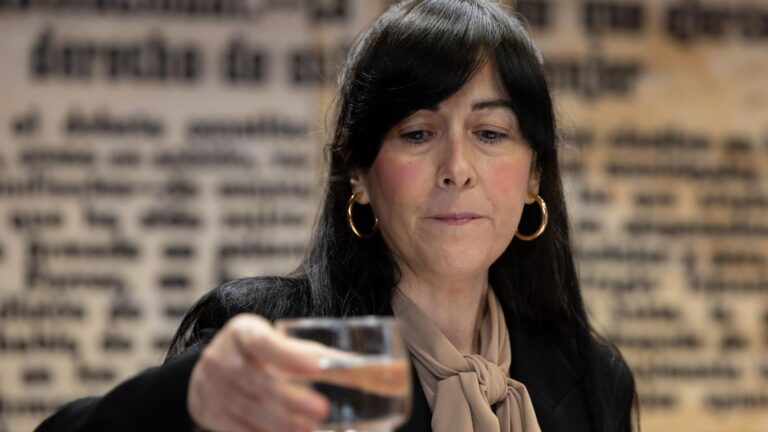 El juez Pedraz suma como investigada en el 'caso Leire' a la actual presidenta de la SEPI por el rescate de Tubos Reunidos