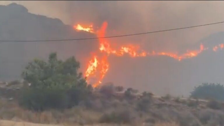 Al menos seis muertos y varios heridos en el incendio forestal de Los Gallardos (Almería): Moreno pide "máxima cautela"