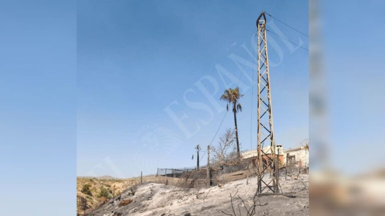La zona cero de la tragedia forestal de Andalucía: "El poste de la línea eléctrica está podrido y es de un particular"