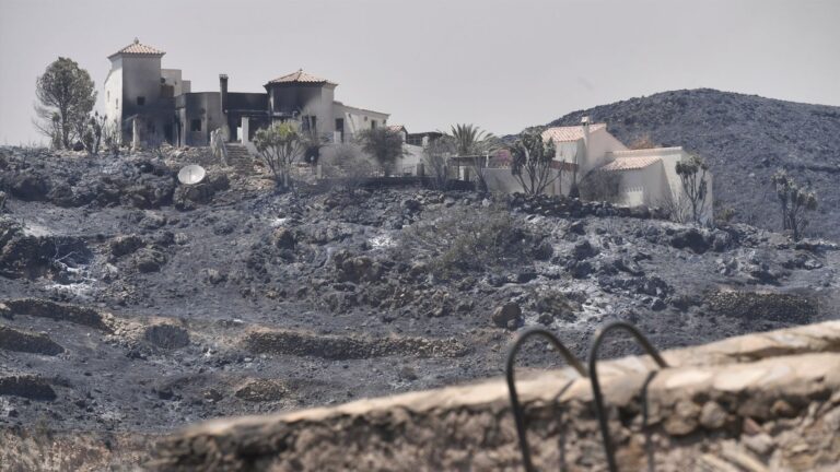Siete horas sin viento, la esperanza de frenar el fuego de Los Gallardos: 12 muertos y al menos siete desaparecidos