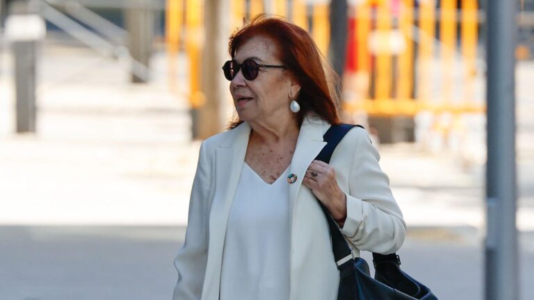 Narbona admite que Leire la llamó para dar "información útil" y ella la remitió a Cerdán, que no vio "nada interesante"
