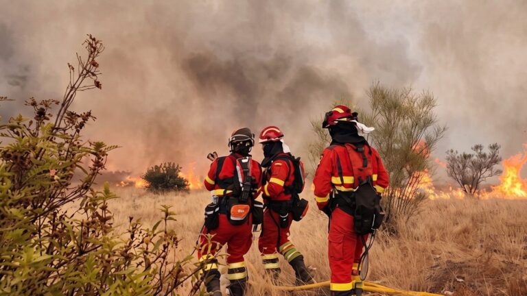 Incendios en España hoy, en directo | Última hora de las carreteras cortadas y fuegos activos en Madrid, Ávila y Vall d'Uixó